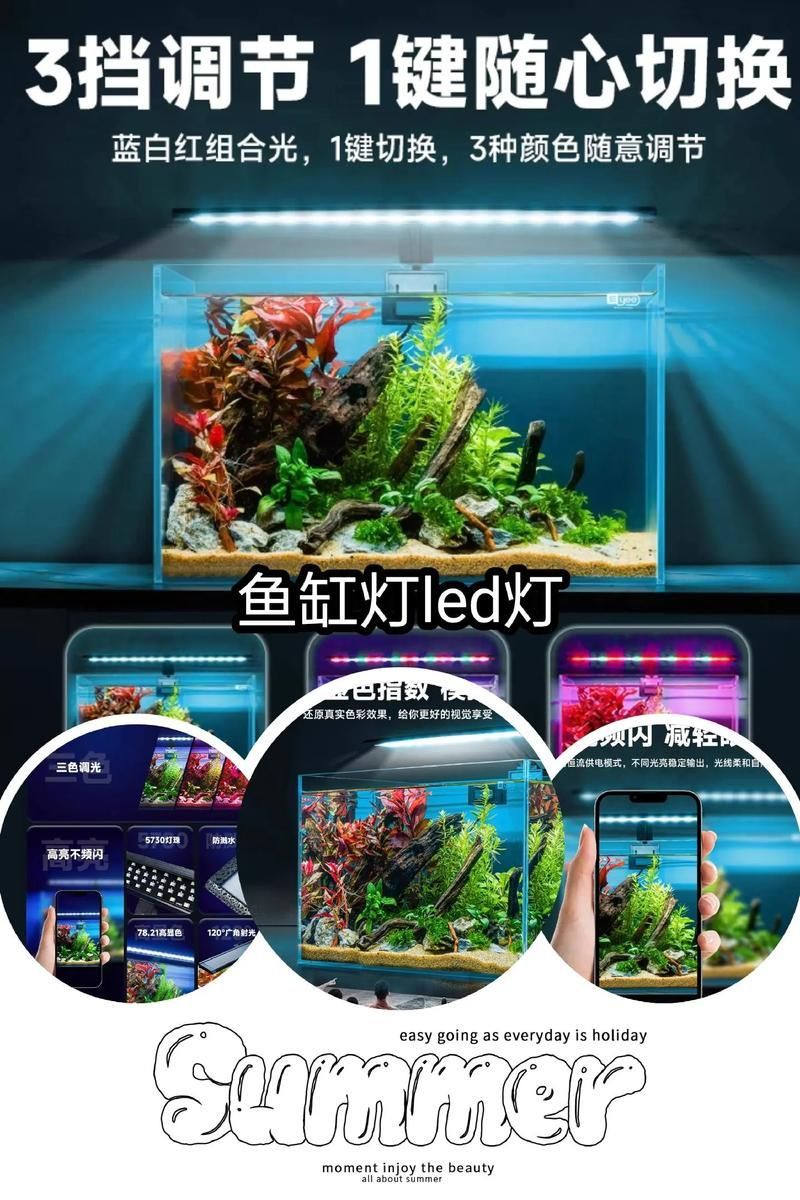 給我推薦幾款性價比高的魚缸三色燈，幾款性價比高的魚缸三色燈推薦 給我推薦幾款性價比高的魚缸三色燈，幾款性價比高的魚缸三色燈推薦 龍魚百科 第2張
