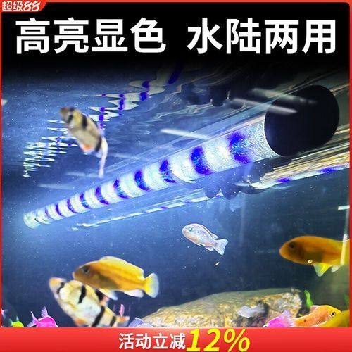 給我推薦幾款性價比高的魚缸三色燈，幾款性價比高的魚缸三色燈推薦 給我推薦幾款性價比高的魚缸三色燈，幾款性價比高的魚缸三色燈推薦 龍魚百科 第5張