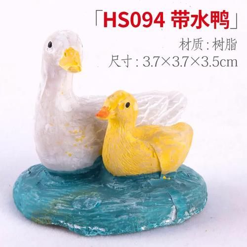 廣東水鴨魚缸是什么樣子的，廣東水鴨魚缸是一種用于養殖廣東水鴨的容器
