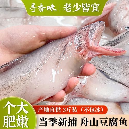 <strong><mark>舟山</mark></strong>龍頭魚的市場價格走勢如何，<strong><mark>舟山</mark></strong>龍頭魚市場價格走勢分析<strong><mark>舟山</mark></strong>龍頭魚市場價格走勢
