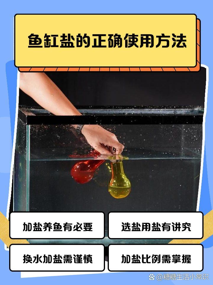 如何判斷龍魚是否適合加鹽治療，如何判斷龍魚是否適合加鹽治療？