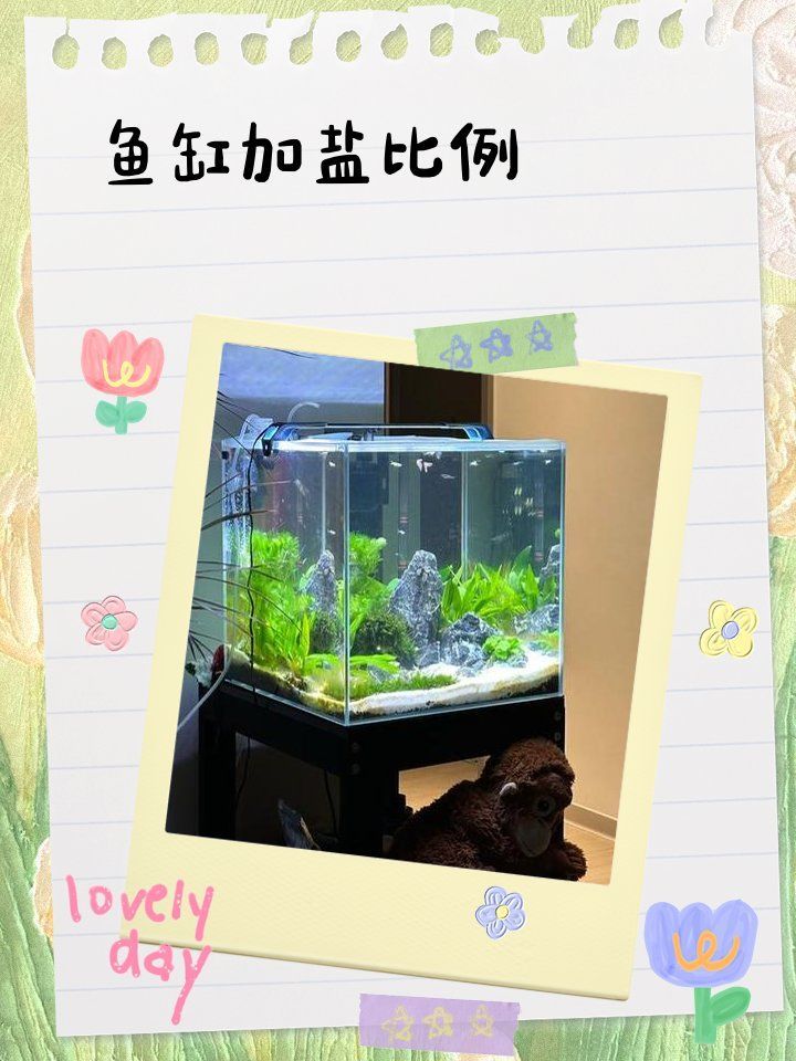 如何判斷龍魚是否適合加鹽治療，如何判斷龍魚是否適合加鹽治療？