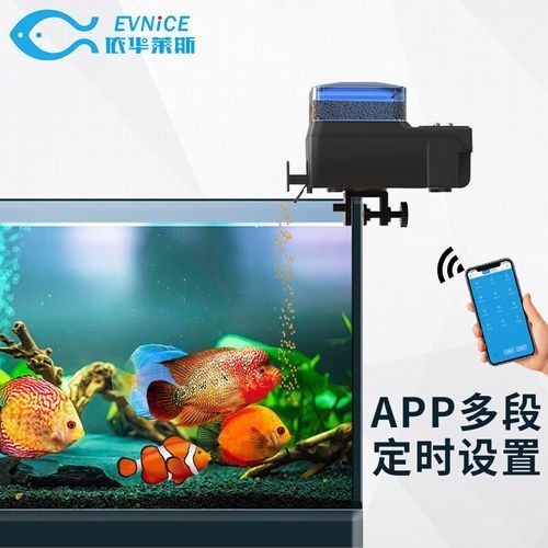 推薦一些神仙魚缸的配置清單，神仙魚缸的配置清單 推薦一些神仙魚缸的配置清單，神仙魚缸的配置清單 龍魚百科 第2張