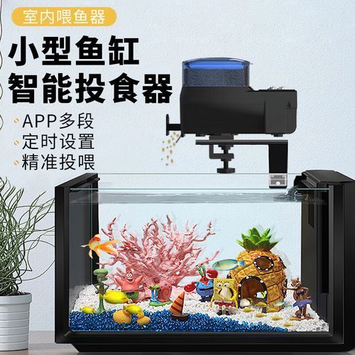 推薦一些神仙魚缸的配置清單，神仙魚缸的配置清單 推薦一些神仙魚缸的配置清單，神仙魚缸的配置清單 龍魚百科 第1張