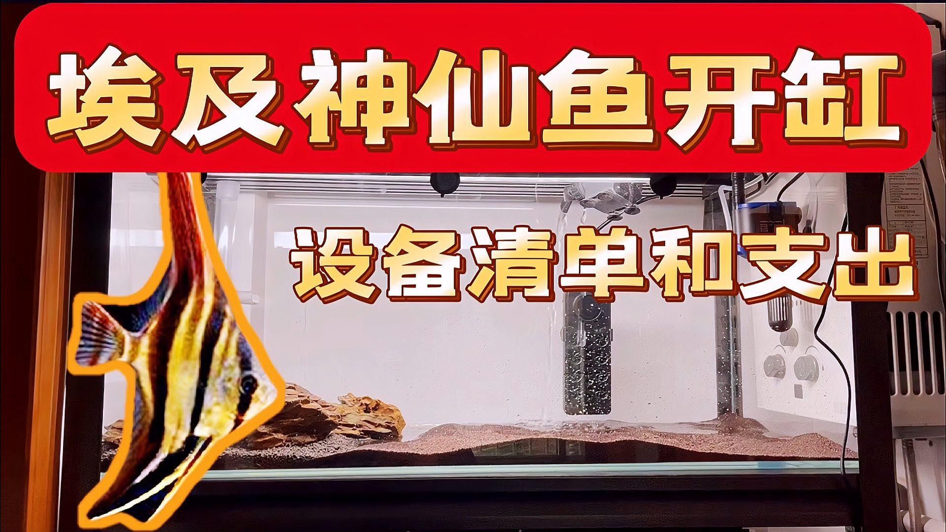 推薦一些神仙魚缸的配置清單，神仙魚缸的配置清單 推薦一些神仙魚缸的配置清單，神仙魚缸的配置清單 龍魚百科 第4張
