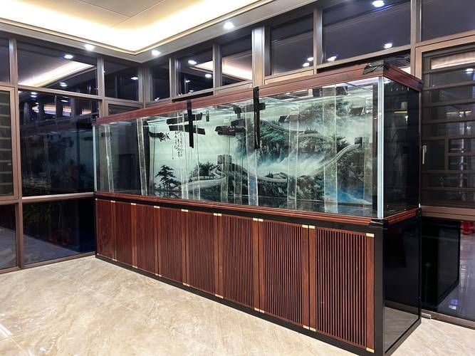 如何為兇猛觀賞魚選擇合適的魚缸
