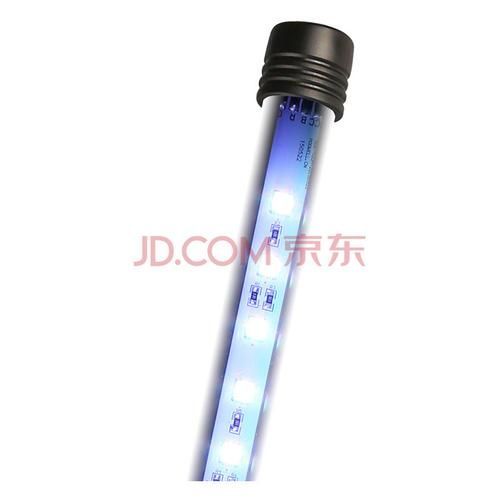給我推薦幾款適合龍魚的燈管，幾款適合龍魚的燈管推薦 給我推薦幾款適合龍魚的燈管，幾款適合龍魚的燈管推薦 龍魚百科 第14張
