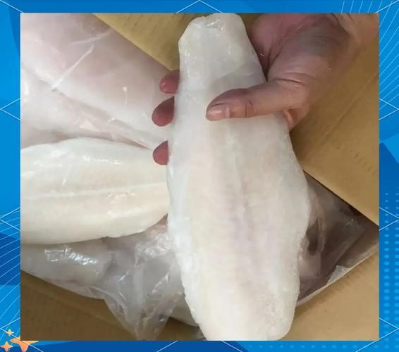 鯧魚和龍利魚哪個更受歡迎，鯧魚和龍利魚哪個更受歡迎鯧魚和龍利魚哪個更受歡迎 鯧魚和龍利魚哪個更受歡迎，鯧魚和龍利魚哪個更受歡迎鯧魚和龍利魚哪個更受歡迎 龍魚百科 第5張