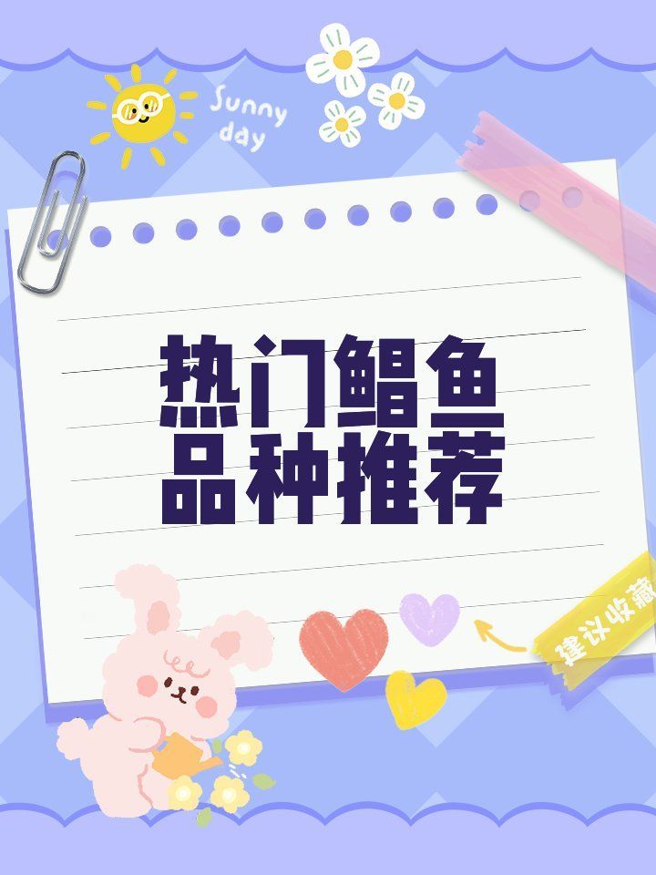 鯧魚和龍利魚哪個更受歡迎，鯧魚和龍利魚哪個更受歡迎鯧魚和龍利魚哪個更受歡迎 鯧魚和龍利魚哪個更受歡迎，鯧魚和龍利魚哪個更受歡迎鯧魚和龍利魚哪個更受歡迎 龍魚百科 第7張