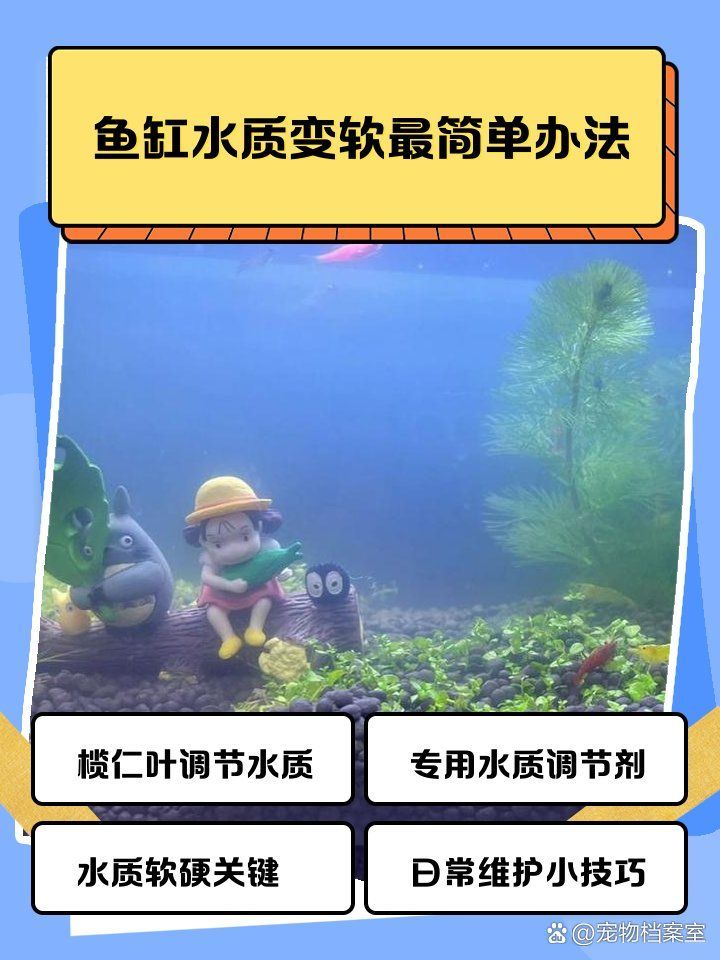 如何調(diào)整魚缸水的硬度