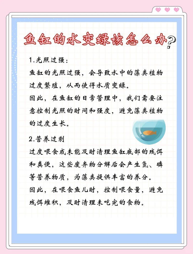 魚缸水變綠后如何快速恢復，如何快速恢復魚缸水質