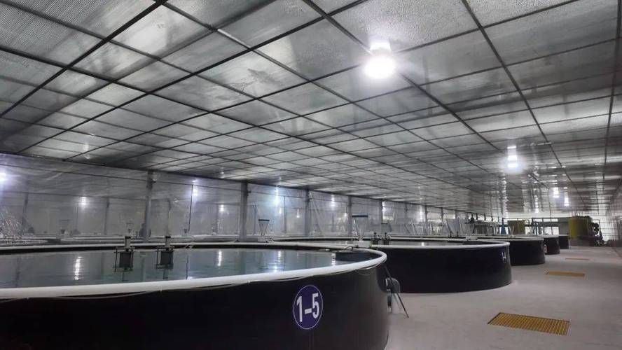 定西市有哪些觀賞魚養(yǎng)殖基地，定西市觀賞魚養(yǎng)殖基地 定西市有哪些觀賞魚養(yǎng)殖基地，定西市觀賞魚養(yǎng)殖基地 龍魚百科 第4張