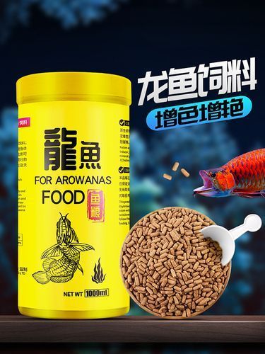 有哪些飼料適合短身紅龍魚，仟湖ofg1小粒顆粒飼料金龍魚增色成長