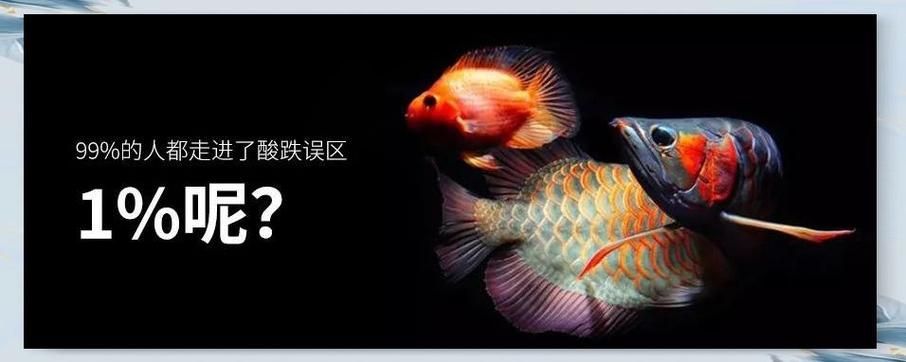 如何判斷龍魚燈是否適合我的龍魚，判斷龍魚燈是否適合您的龍魚，需要綜合考慮多個因素