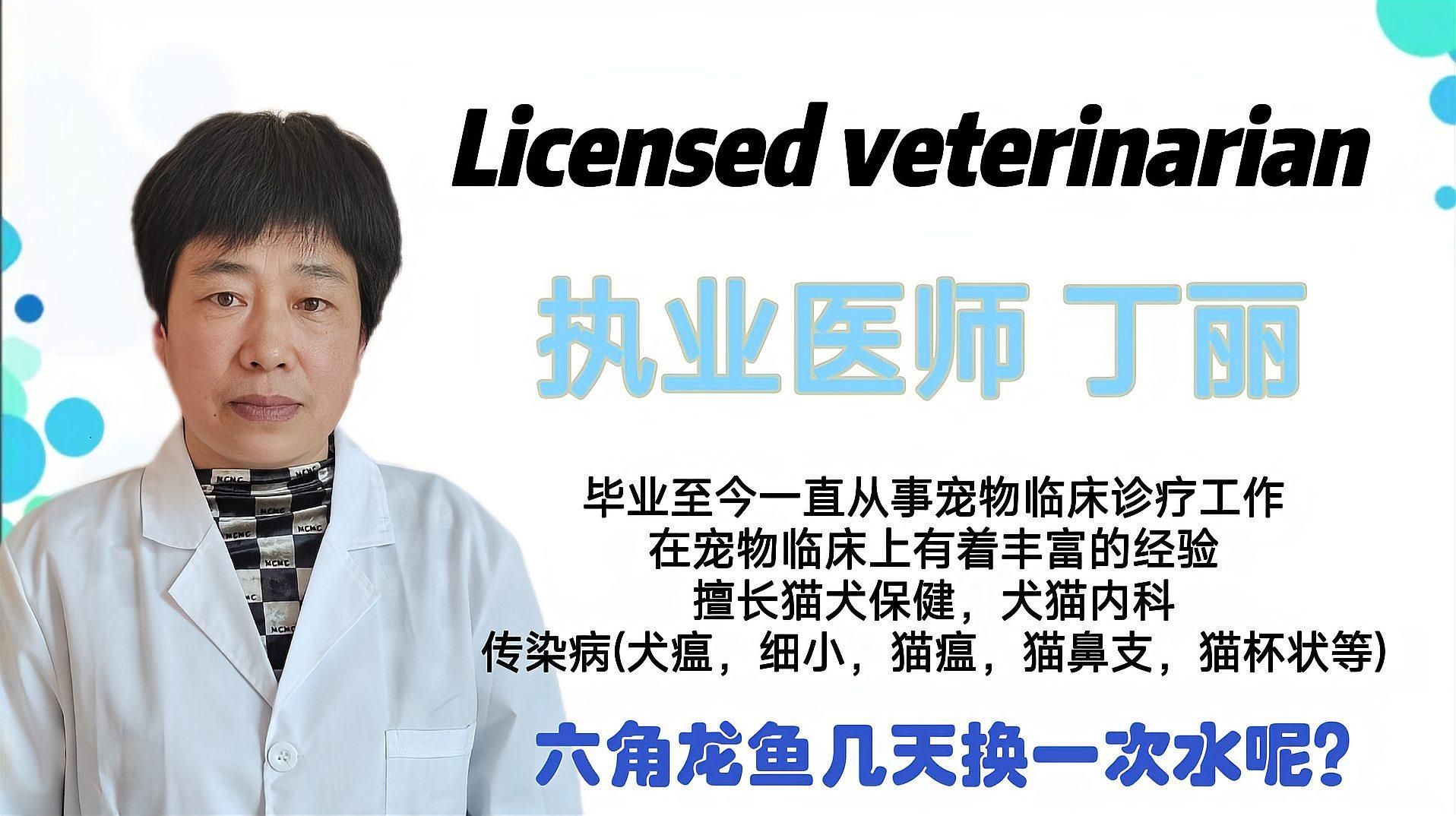 六角龍魚多久換一次水，六角龍魚幾天換一次水