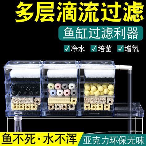 新手養龍魚需要準備哪些設備？，拆解新手養龍魚必備設備清單與詳解（附圖示）