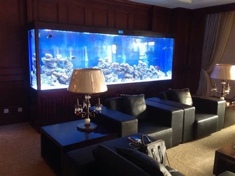 新手養龍魚需要準備哪些設備？，拆解新手養龍魚必備設備清單與詳解（附圖示）