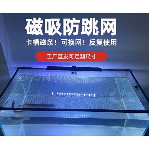 給我推薦一些預(yù)防龍魚夜間亂竄的產(chǎn)品，yee磁吸式魚缸防跳網(wǎng)龍魚夜間亂竄yee或旭杉斯 給我推薦一些預(yù)防龍魚夜間亂竄的產(chǎn)品，yee磁吸式魚缸防跳網(wǎng)龍魚夜間亂竄yee或旭杉斯 龍魚百科 第7張