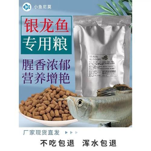 有哪些專業龍魚飼料推薦，專業龍魚飼料的選擇
