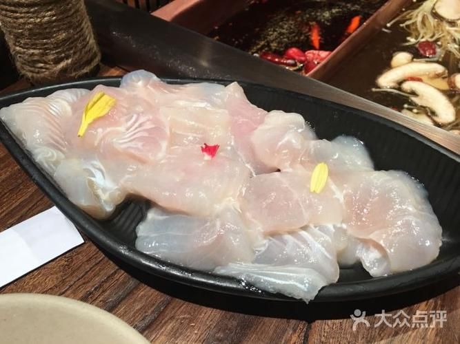 金沙江龍魚有哪些獨特的品種？