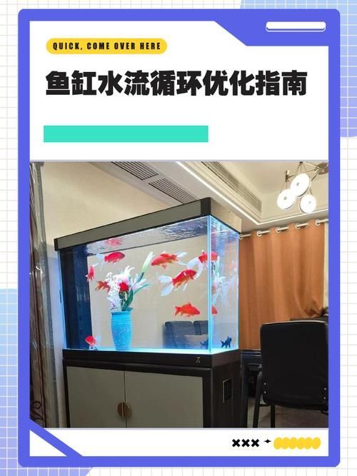 能否提供龍魚(yú)缸水流最佳狀態(tài)的圖片示例，魚(yú)缸水流最佳狀態(tài)的圖片示例 能否提供龍魚(yú)缸水流最佳狀態(tài)的圖片示例，魚(yú)缸水流最佳狀態(tài)的圖片示例 龍魚(yú)百科 第2張