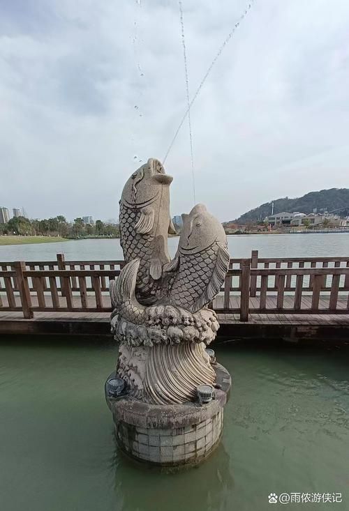 能否提供梧州龍魚轉盤的噴泉朝向圖片，梧州龍魚轉盤噴泉朝向圖片 能否提供梧州龍魚轉盤的噴泉朝向圖片，梧州龍魚轉盤噴泉朝向圖片 龍魚百科 第5張