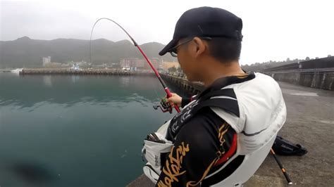 龍魚在魚缸里亂竄是病了嗎？，龍魚在魚缸中亂竄可能是由多種因素引起的