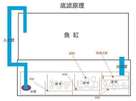 魚缸百科，魚缸布局圖