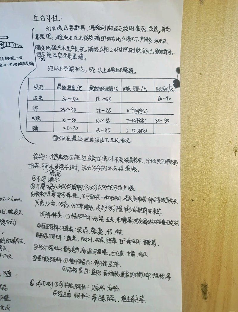 如何搭配面包蟲和其他飼料，面包蟲的飼養與飼料配方指南