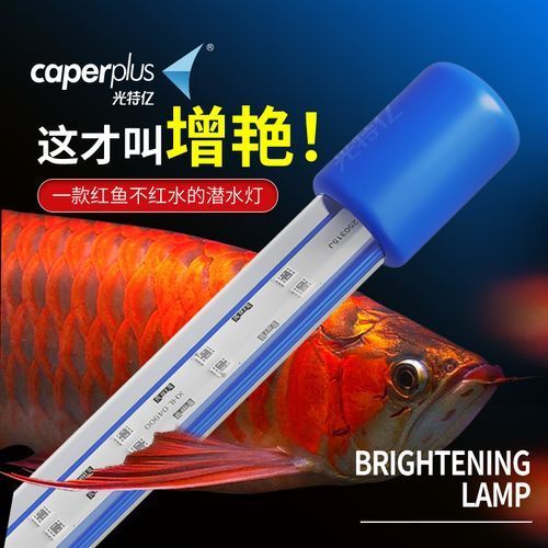不同品牌的龍魚燈有何推薦，如何根據魚缸長度選擇龍魚燈？