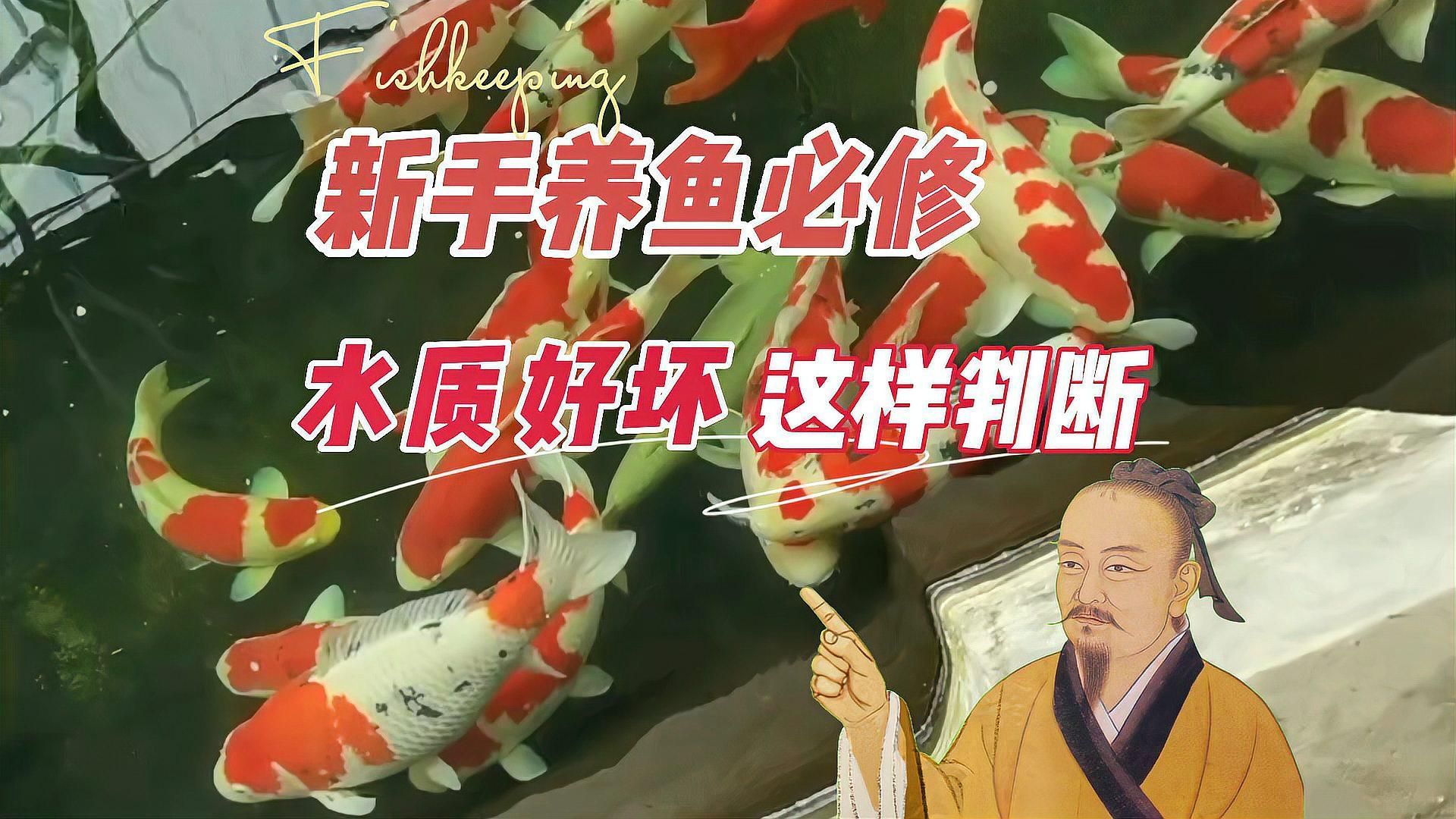 如何判斷魚(yú)缸水是否適合養(yǎng)魚(yú)，判斷魚(yú)缸水是否適合養(yǎng)魚(yú)，不能只看“水清不清”