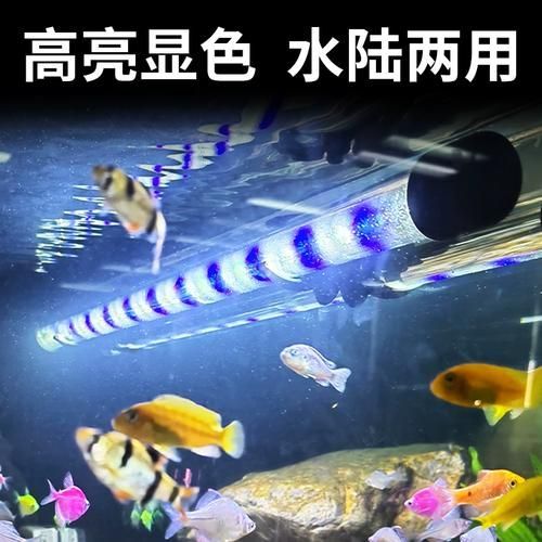 森森雙排LED燈有哪些型號可選，森森雙排led燈哪個型號最好森森雙排led燈哪個型號最好