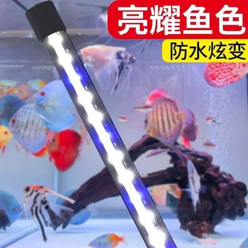 森森雙排LED燈有哪些型號可選，森森雙排led燈哪個型號最好森森雙排led燈哪個型號最好