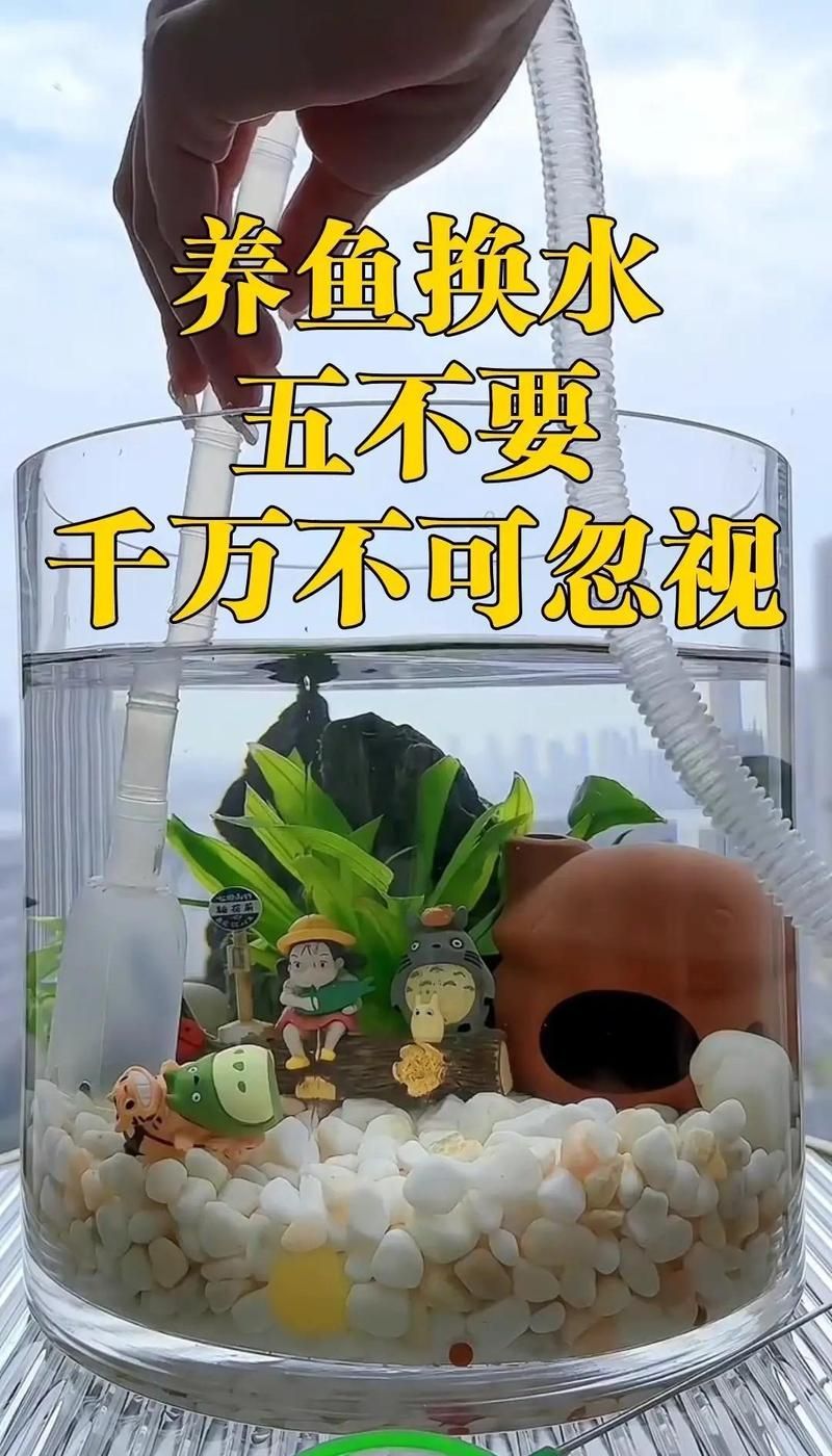 魚缸換水時需要注意哪些事項，養(yǎng)魚換水必知的五大注意事項
