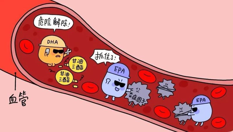 有哪些食物特別有助于銀龍魚斷須再生，哪些食物有助于銀龍魚斷須再生