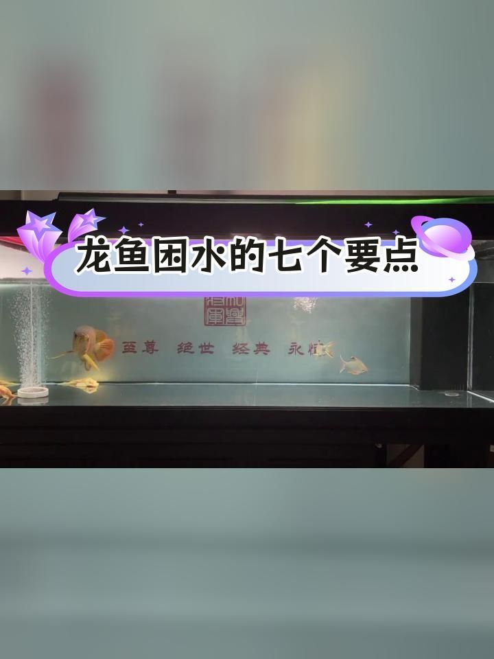 如何判斷青陽龍魚的健康狀況，判斷青陽龍魚的健康狀況如何判斷青陽龍魚的健康狀況