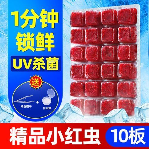有哪些推薦的六角恐龍魚飼料，六角恐龍飼料值得推薦三類飼料最值得推薦的三類飼料