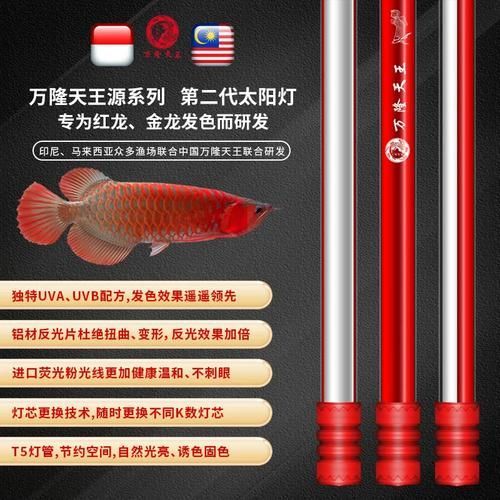給我一些鑒別萬隆龍魚的真?zhèn)魏推焚|(zhì)的圖片，如何鑒別萬隆龍魚的真?zhèn)闻c品質(zhì)？