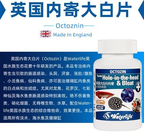 有哪些藥物可以調(diào)節(jié)龍魚腸道？，龍魚腸道健康對(duì)整個(gè)水族箱的生態(tài)環(huán)境至關(guān)重要 有哪些藥物可以調(diào)節(jié)龍魚腸道？，龍魚腸道健康對(duì)整個(gè)水族箱的生態(tài)環(huán)境至關(guān)重要 龍魚百科 第1張