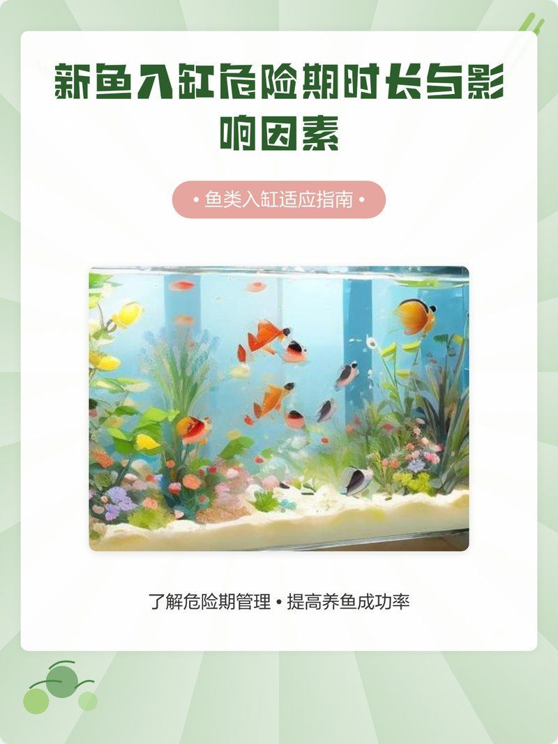 如何判斷龍魚是否適應了新背景，如何判斷龍魚是否適應新環(huán)境