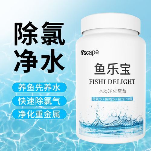 飛鳳魚與龍魚混養有哪些成功案例，飛鳳魚與龍魚混養成功案例