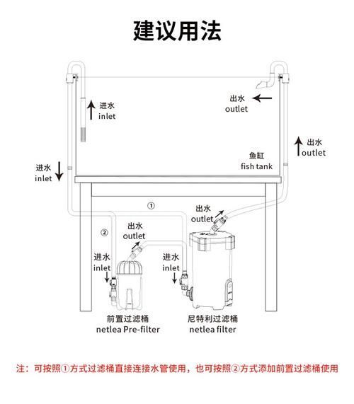 如何配置白子龍魚的水族箱，白子龍魚水族箱配置