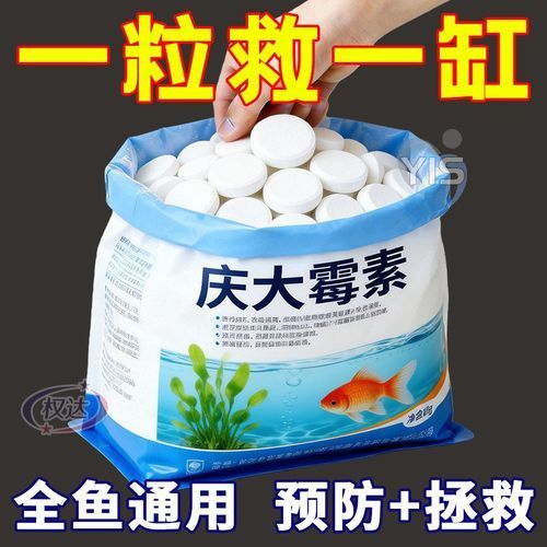 有哪些藥物可以輔助治療龍魚病，關(guān)于水族養(yǎng)殖中的“龍魚病”