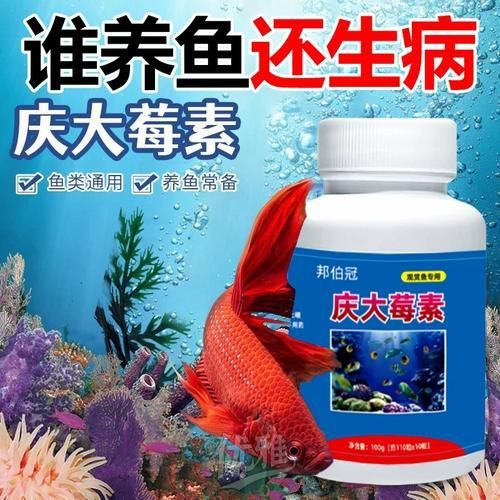 有哪些藥物可以輔助治療龍魚病，關(guān)于水族養(yǎng)殖中的“龍魚病”