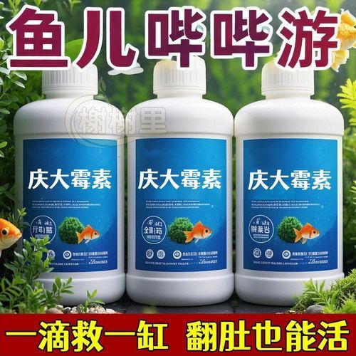 有哪些藥物可以輔助治療龍魚病，關(guān)于水族養(yǎng)殖中的“龍魚病”