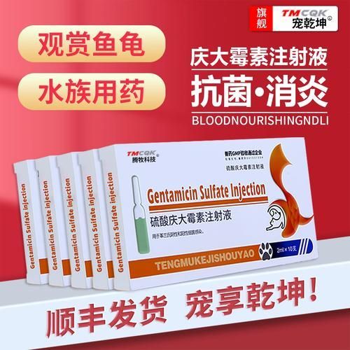 有哪些藥物可以輔助治療龍魚病，關(guān)于水族養(yǎng)殖中的“龍魚病”