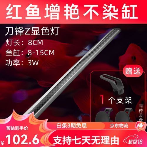 有哪些品牌燈管適合藍底金龍魚，藍底金龍魚燈管選擇 有哪些品牌燈管適合藍底金龍魚，藍底金龍魚燈管選擇 龍魚百科 第6張