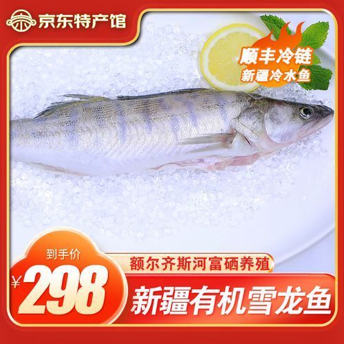新疆雪龍魚的價格是多少，新疆雪龍魚價格是多少新疆雪龍魚有哪些品牌推薦