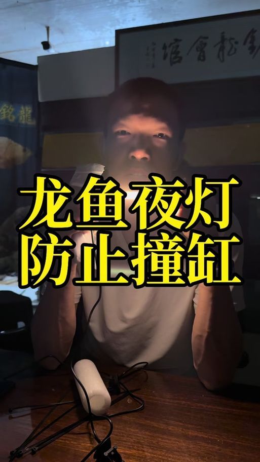 如何判斷龍魚夜燈的質(zhì)量好壞，如何判斷龍魚夜燈質(zhì)量好壞 如何判斷龍魚夜燈的質(zhì)量好壞，如何判斷龍魚夜燈質(zhì)量好壞 龍魚百科 第11張