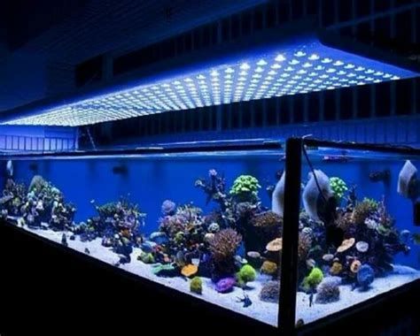 水族燈，水族燈選購指南 水族燈，水族燈選購指南 龍魚百科 第2張